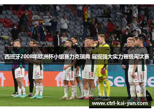 西班牙2008年欧洲杯小组赛力克瑞典 展现强大实力晋级淘汰赛