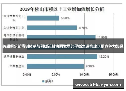 英超俱乐部青训体系与引援策略协同发展的平衡之道构建长期竞争力路径