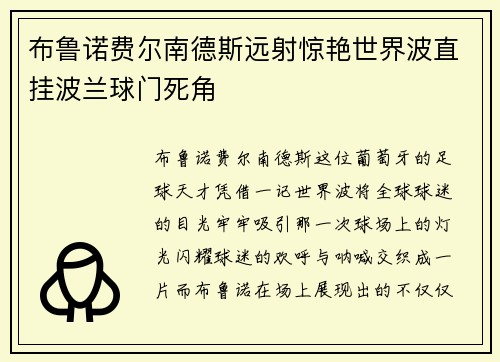布鲁诺费尔南德斯远射惊艳世界波直挂波兰球门死角